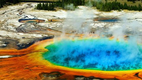 Gejzer w Parku Narodowym Yellowstone