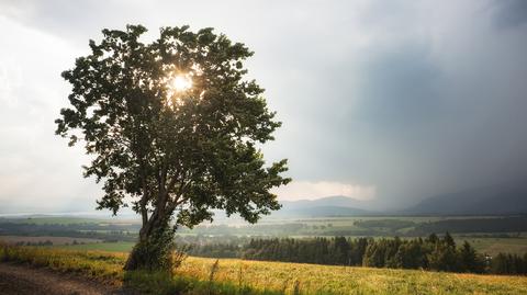 Prognoza pogody na 16 dni (TVN Meteo)