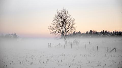 Prognoza pogody TVN Meteo na dzień