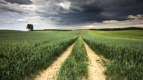 W Polsce występują burze. Pojawią się również w kolejnych dniach