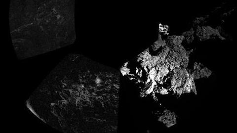 Uczestnicy misji Rosetta cieszą się ze szczęśliwego lądowania