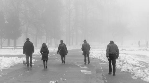 Specjalna prognoza pogody "Meteo News"