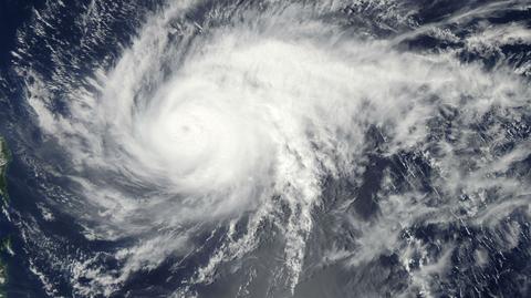 Huragan Maysak w modelu meteorologicznym