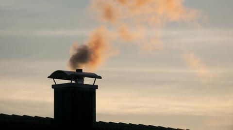 Jak chronić się przed smogiem