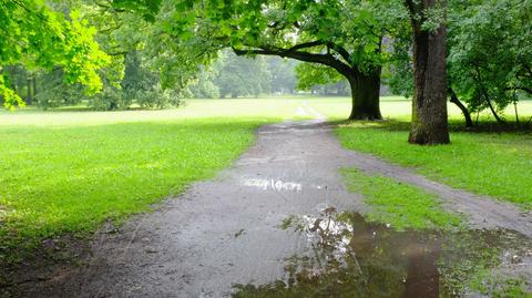 Prognoza pogody TVN Meteo na dzień