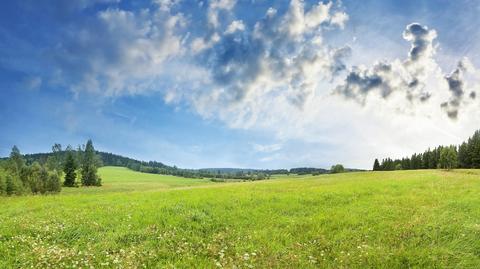 Prognoza pogody "Meteo News"