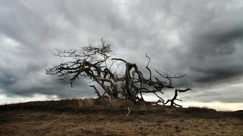 Prognoza pogody TVN Meteo na dzień