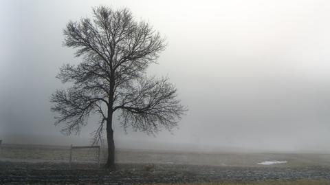 Prognoza TVN Meteo na dzień