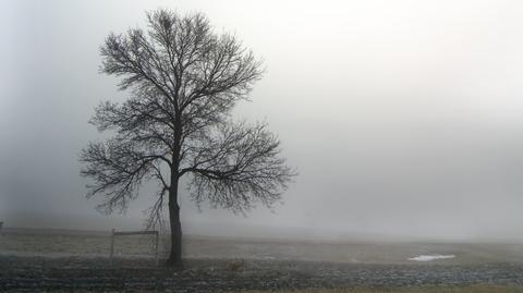 Prognoza TVN Meteo na dzień