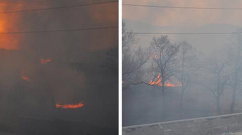 Niebezpieczne wypalanie traw w Polsce (TVN24)