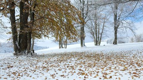 Specjalna prognoza pogody "Meteo News"