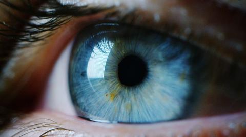 Odkryto geny odpowiadające za kolor oczu