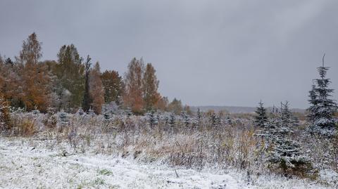 Prognoza pogody "Meteo News"