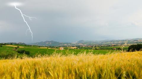 Prognoza pogody TVN Meteo na dzień (27.06)