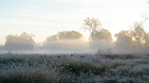 Mroźny poranek na Podlasiu