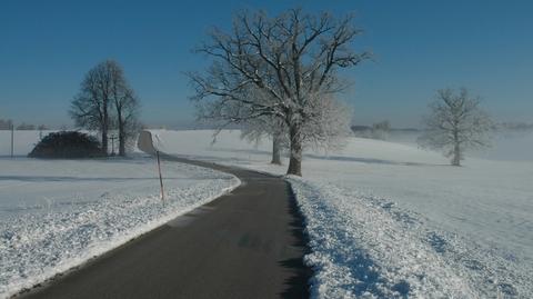 Warunki drogowe w ciągu dnia 11.02