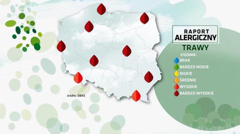 Raport alergiczny 19.06