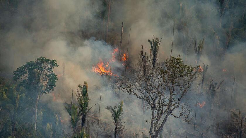 Pożary w Amazonii w 2019 roku (zdjęcia satelitarne NASA)