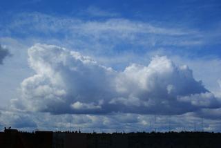 31 marca 2012 roku, godzina 13:00     Nad Piłę nadciągnęły potężne chmury typu Cumulonimbus, z których intensywnie padał grad.