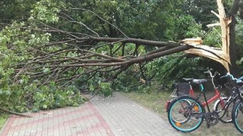 W Łukowej (powiat biłgorajski) przeszła gwałtowna burza