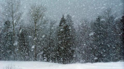 Prognoza pogody TVN Meteo na dzień, 21.01