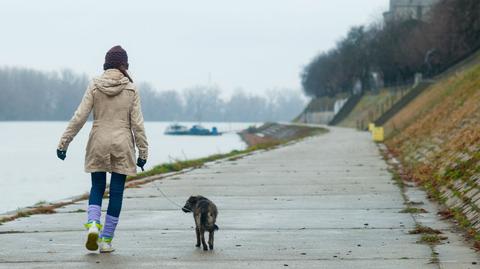 Prognoza pogody na niedzielę