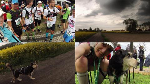 Łzy w ulewie i "wybieram dobrego wilka". 55 km biegiem przez lasy na GWiNT Ultra Cross