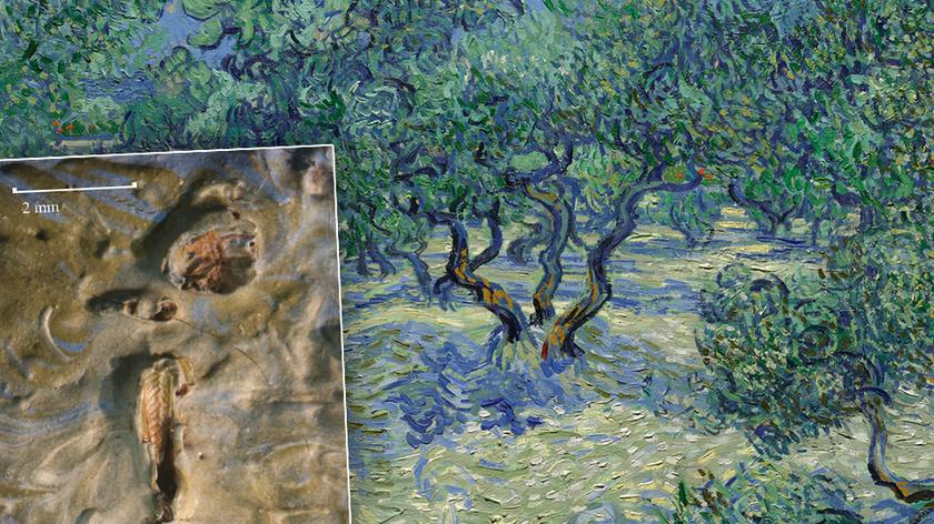 Na obrazie Van Gogha utkwił konik polny