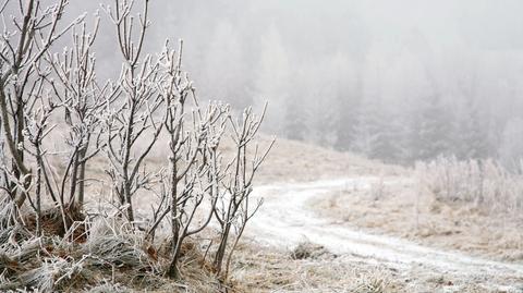 Prognoza pogody na Niedzielę Wielkanocną 08.04