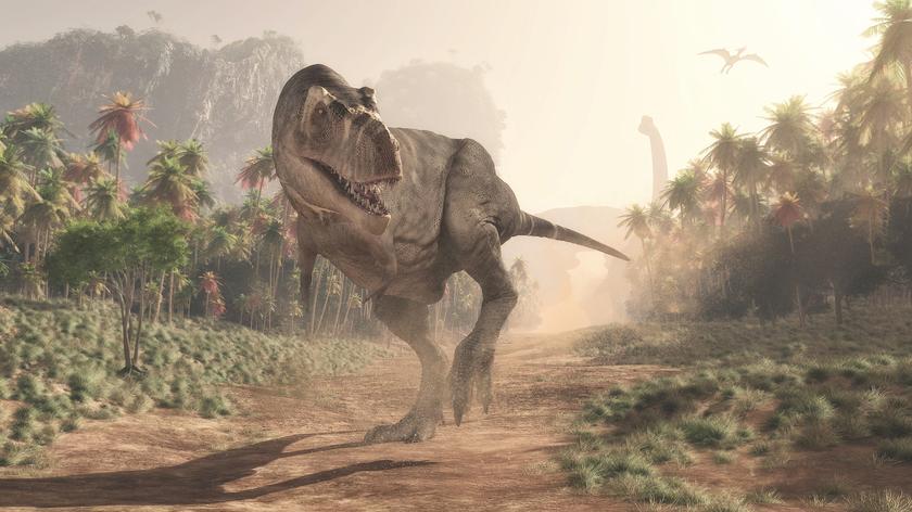 Ślady dinozaurów znalezione w Australii