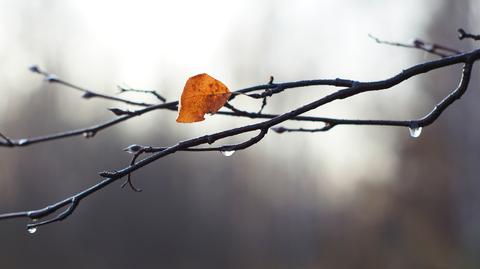 Prognoza pogody na sobotę 23.11