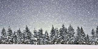 Do Polski powróciła zima. Będzie śnieżnie i mroźno,północne rejony Polski przykryte śniegiem.