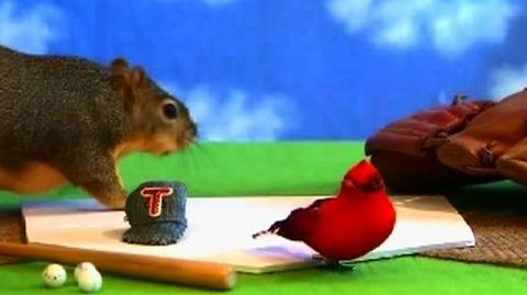 Wiewiórka lubiąca baseball (TVN24)