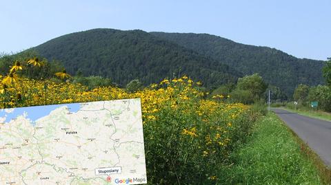 Chłodny poranek w Stuposianach