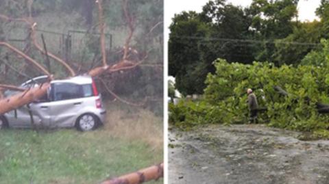 Burza na Lubelszczyźnie powalała drzewa 