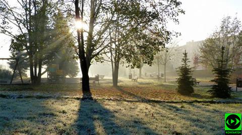 Specjalna prognoza pogody "Meteo News"