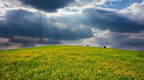 Prognoza pogody "Meteo News"