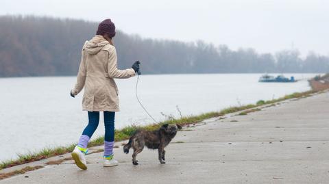 Prognoza pogody na środę