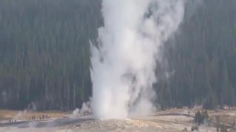 Gejzer Giantess w Parku Narodowym Yellowstone (materiał archiwalny)