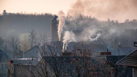 Źródła smogu w Warszawie i Krakowie