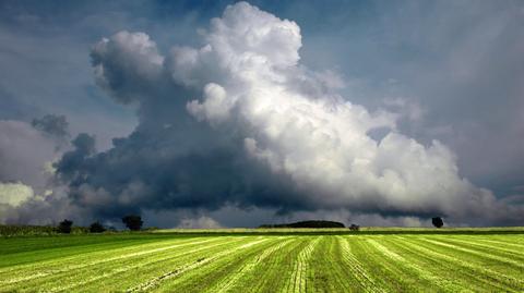 Specjalna prognoza pogody "Meteo News"