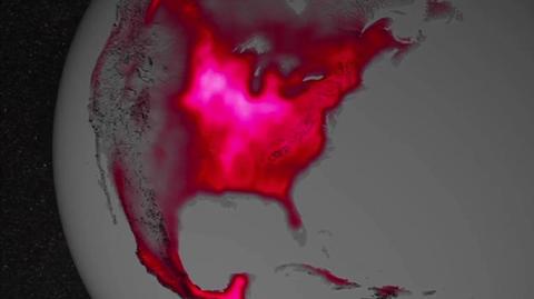 Satelity sprawdzą, jak jasno świeci roślina (NASA)