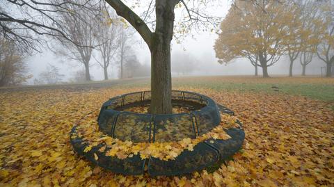 Prognoza pogody TVN Meteo na sobotę