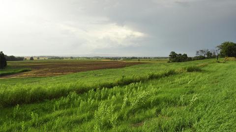 Prognoza pogody na poniedziałek 11.06