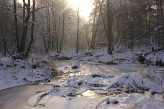 Nad grudniową ... wodą 04