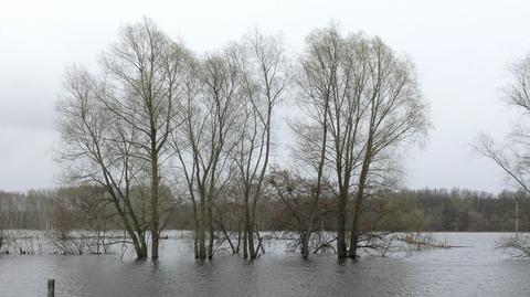 W okolicach Płocka zagrożenie powodziowe (TVN24)