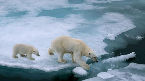 Raport NOAA o ociepleniu Arktyki