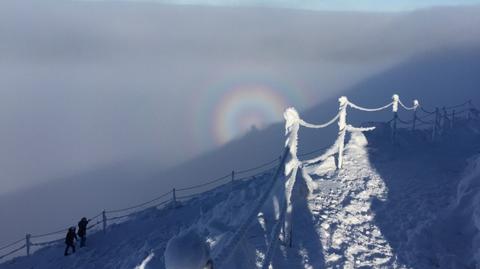 Halo i tajemnica Widma Brockenu