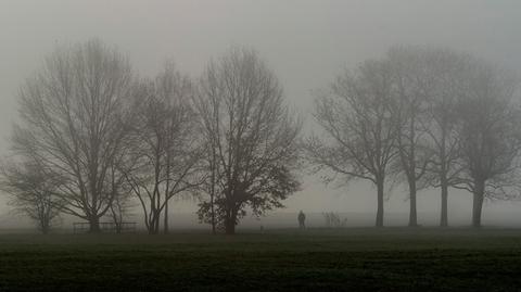 Prognoza pogody TVN Meteo na dzień