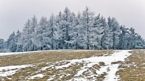 Prognoza pogody TVN Meteo na na niedzielę 05.02